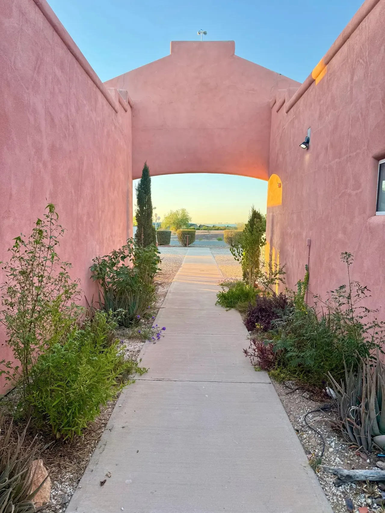 Desert garden lining an adobe passage under a pale evening sky