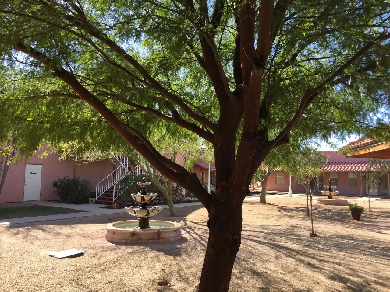 Mesquite branches over a courtyard fountain and tiled roofs