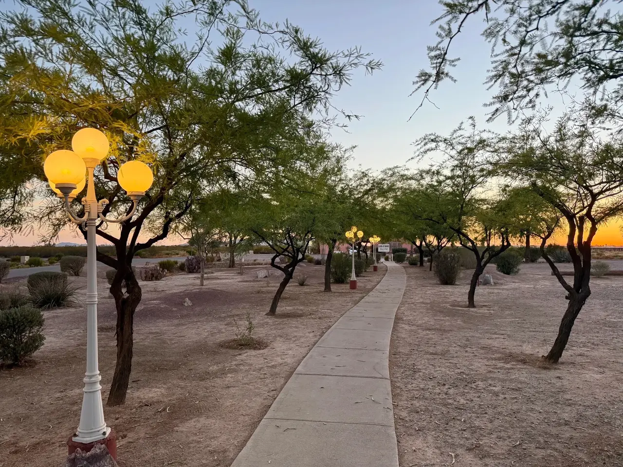 A globe lamp and walkway through mesquite trees at sunset