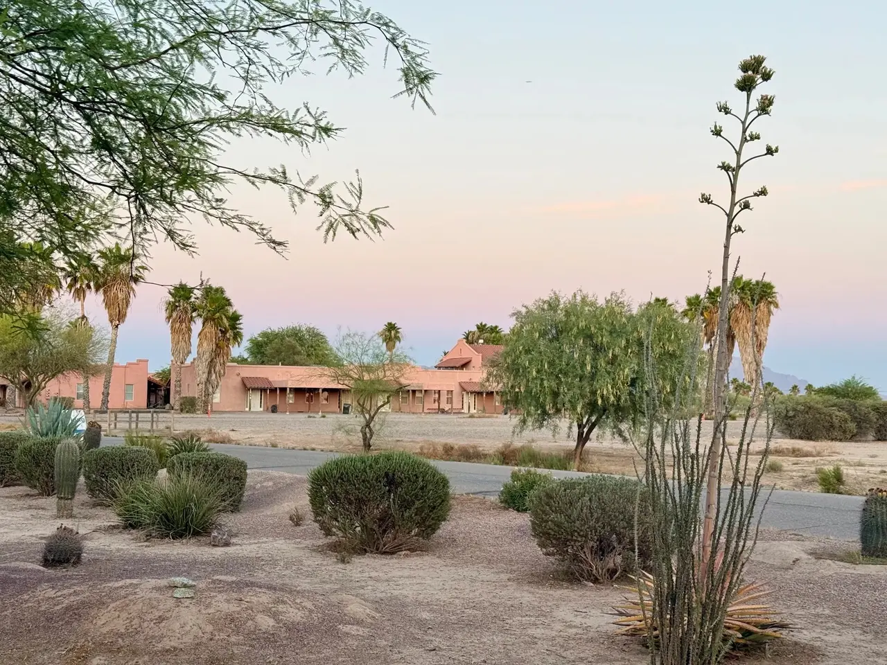 Ocotillo, palms and creosote under a pastel evening sky