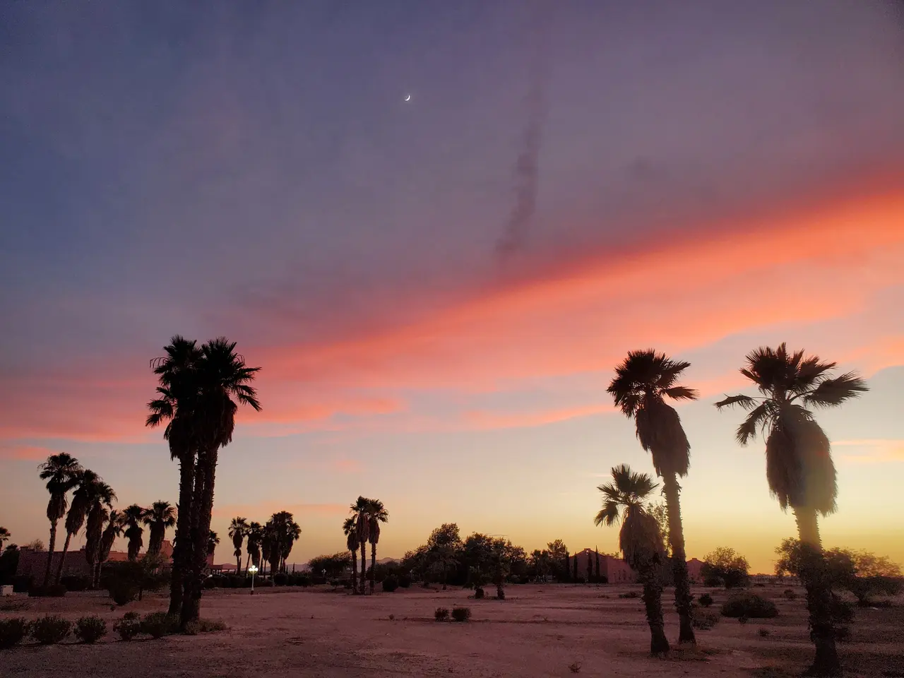 Palm silhouettes beneath a streaked pink and violet sunset